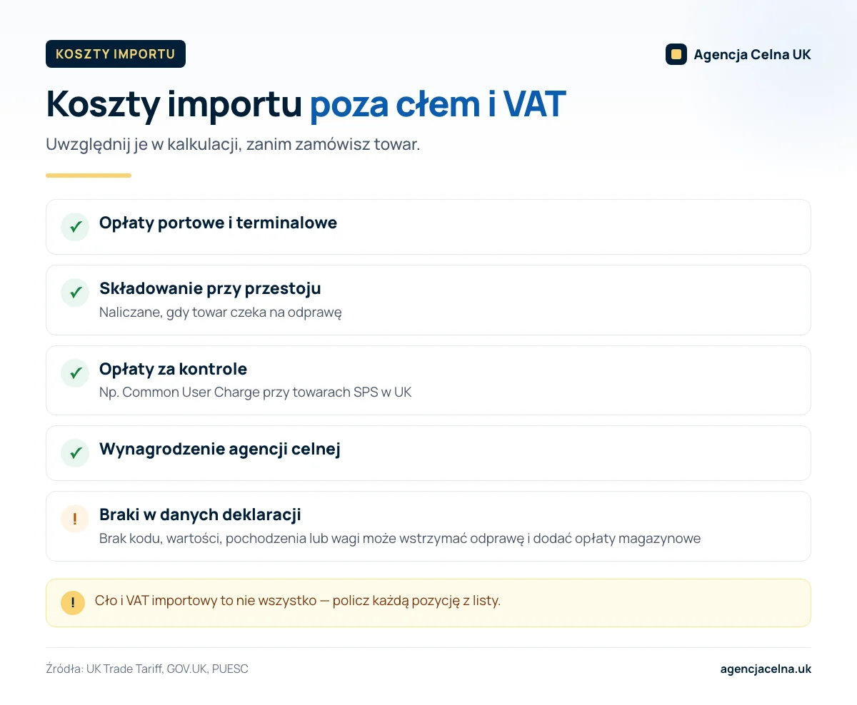 Infografika: lista kosztów importu poza cłem i VAT — opłaty portowe, składowanie, kontrole, agencja i ryzyko braków w danych.