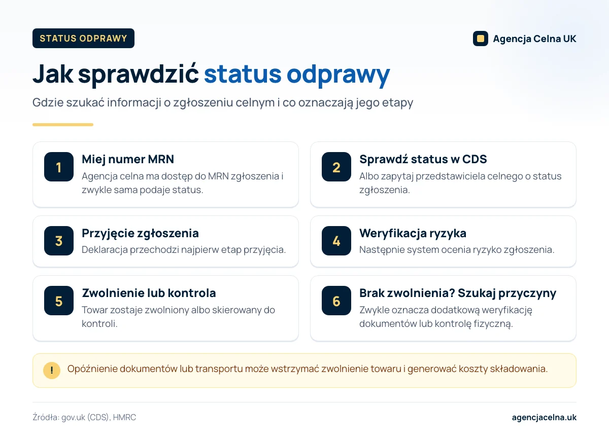 Infografika: sześć kroków sprawdzania statusu odprawy – od numeru MRN i systemu CDS po zwolnienie towaru lub kontrolę.