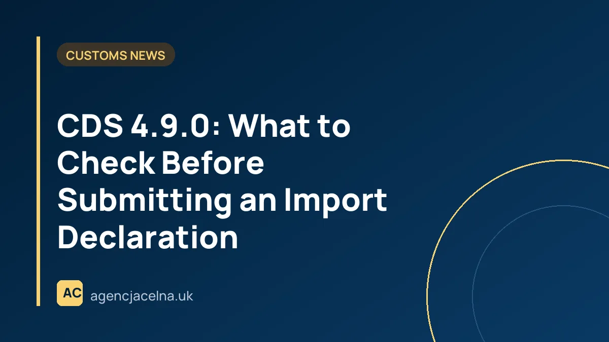 CDS 4.9.0: What to Check Before Submitting an Import Declaration