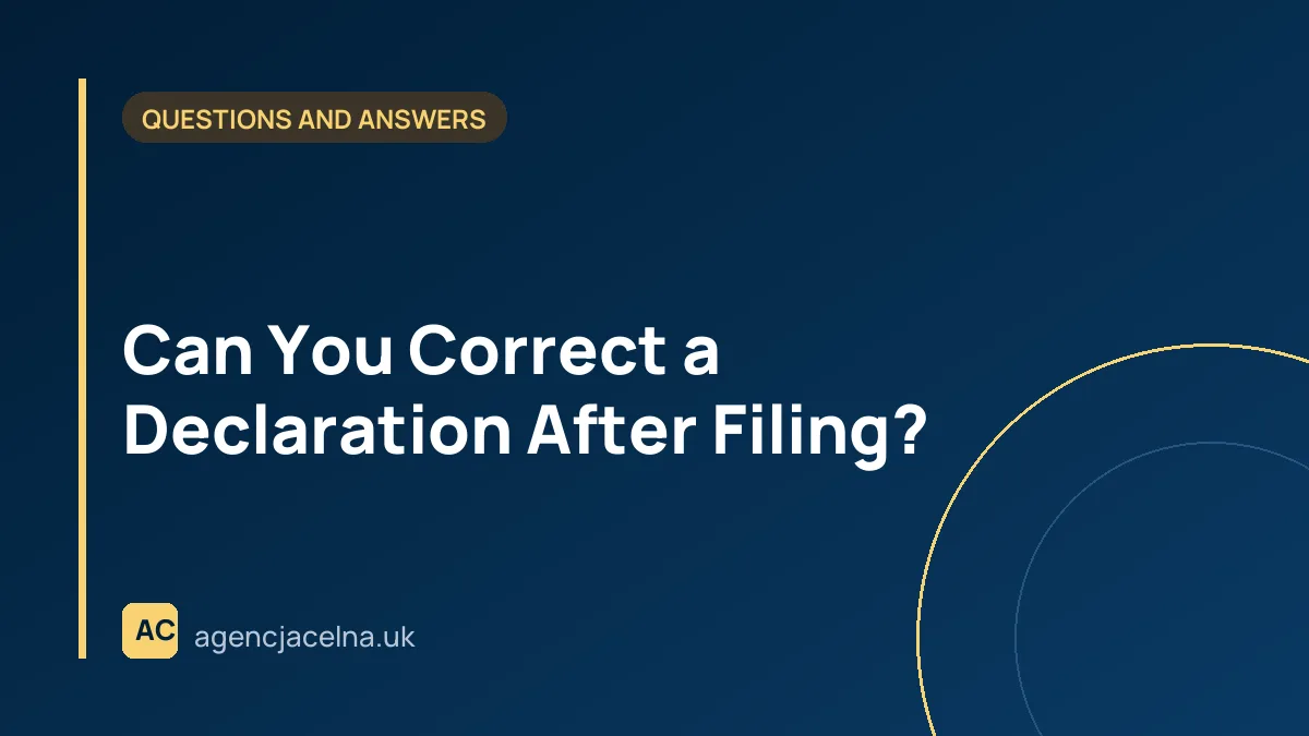 Can You Correct a Declaration After Filing?