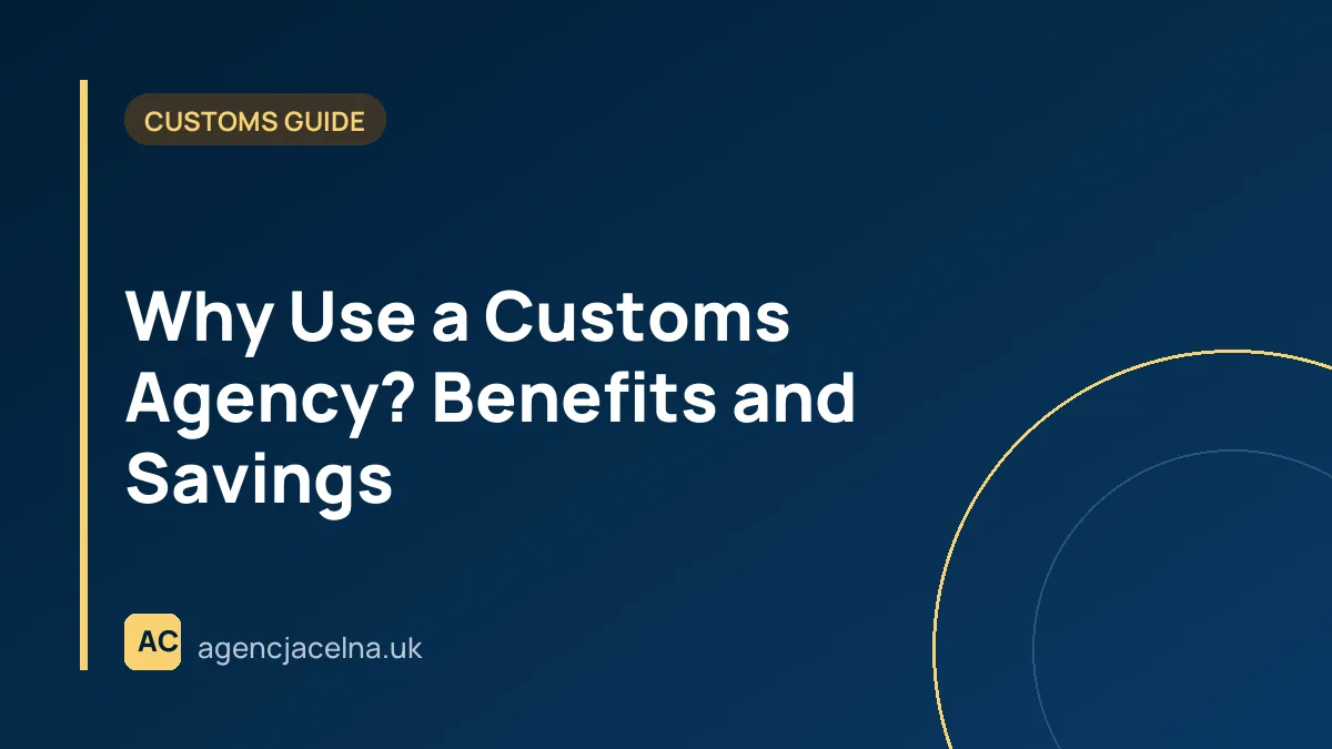 Why Use a Customs Agency? Benefits and Savings