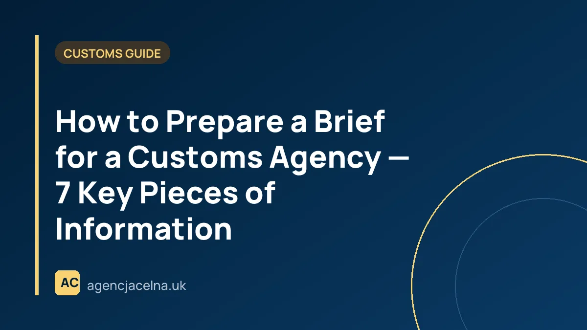 How to Prepare a Brief for a Customs Agency — 7 Key Pieces of Information