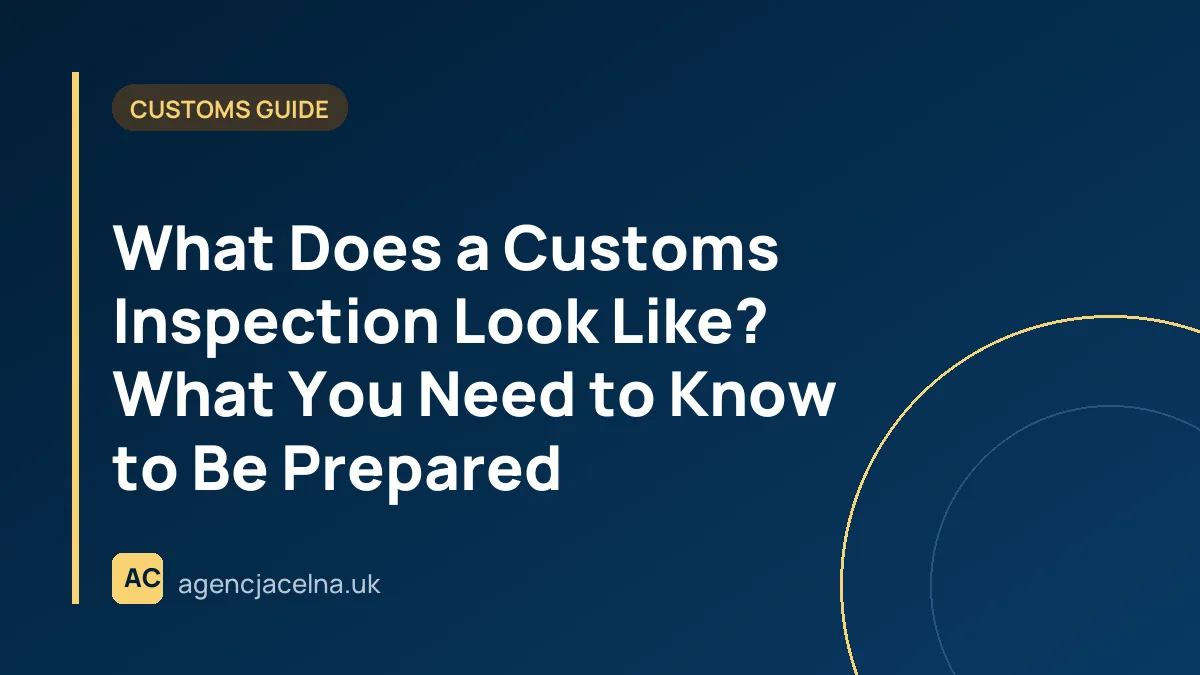 What Does a Customs Inspection Look Like? What You Need to Know to Be Prepared