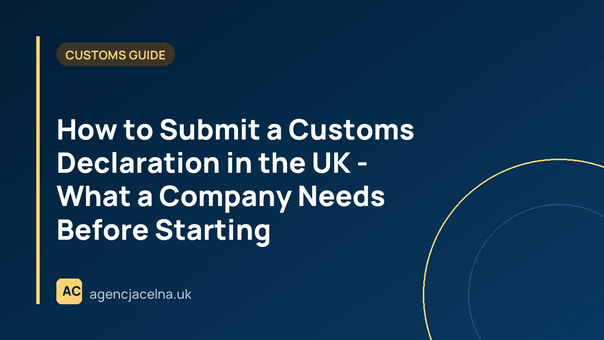 How to Submit a Customs Declaration in the UK - What a Company Needs Before Starting