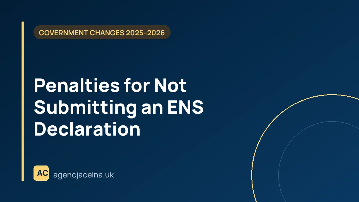 Penalties for Not Submitting an ENS Declaration