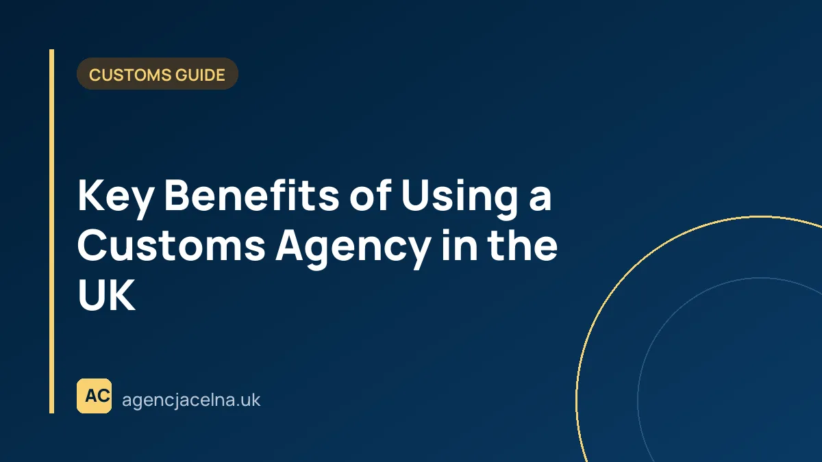 Key Benefits of Using a Customs Agency in the UK