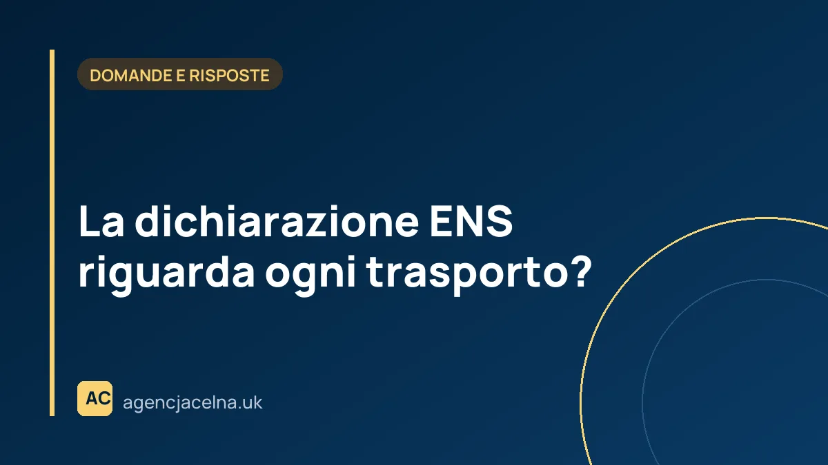 La dichiarazione ENS riguarda ogni trasporto?