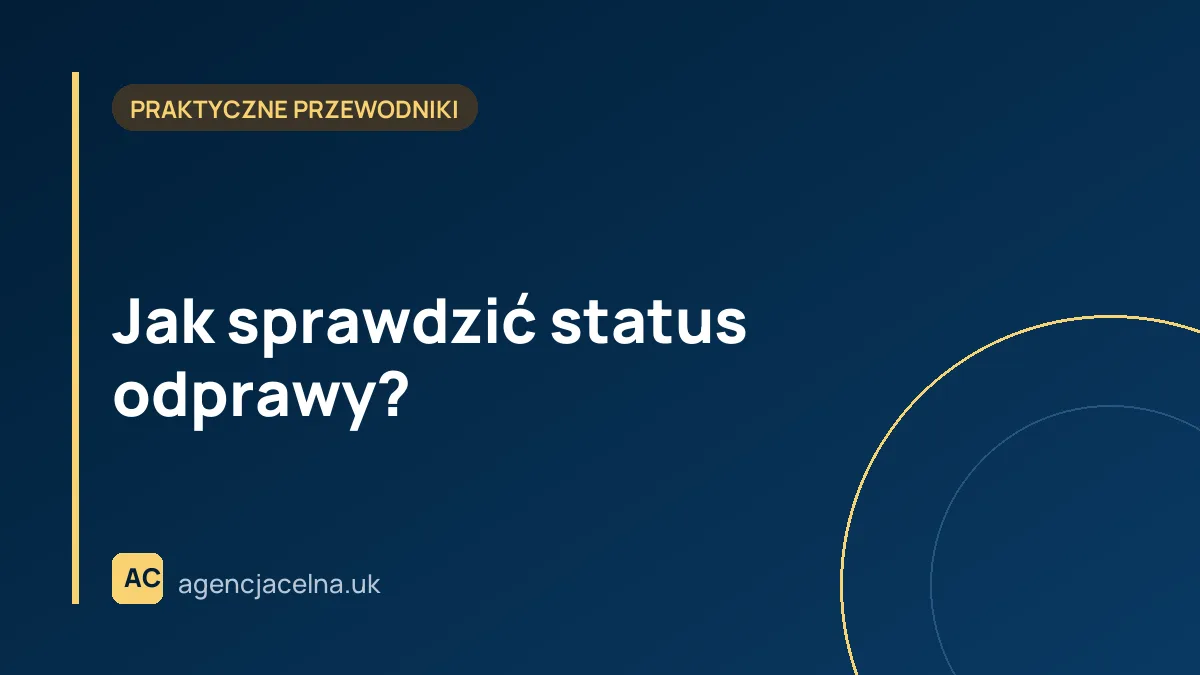 Jak sprawdzić status odprawy?