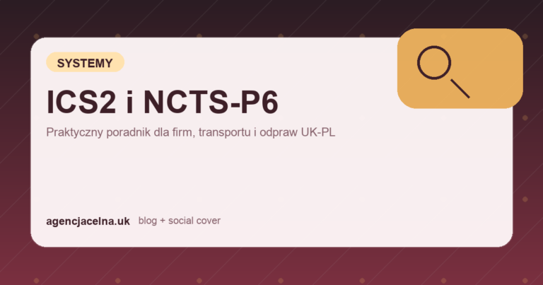 ICS2 i NCTS-P6