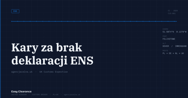Kary za brak deklaracji ens – Agencja Celna UK-PL, odprawy celne, import i eksport