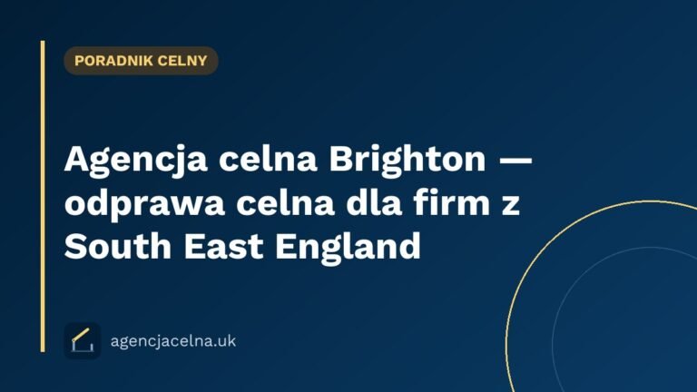 Agencja celna Brighton — odprawa celna dla firm z South East England